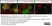 Anti Chicken Bu-1A Antibody, clone L22 thumbnail image 5