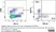 Anti Chicken Bu-1a/b Antibody, clone AV20 thumbnail image 4