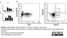 Anti Chicken CD184 / CXCR4 Antibody, clone 9D9 gallery image 4