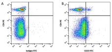 Anti Chicken CD25 Antibody, clone AbD13504 gallery image 2