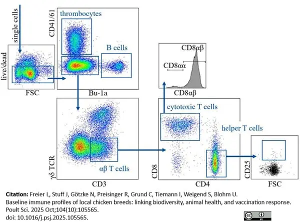 Anti Chicken CD25 Antibody, clone AV142 gallery image 4
