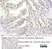 Anti Chicken CD25 Antibody, clone AV142 thumbnail image 5
