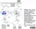 Anti Chicken CD268 / BAFF-R Antibody, clone 2C4 thumbnail image 3