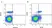 Anti Chicken CD3 Antibody, clone CT-3 thumbnail image 2