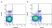 Anti Chicken CD3 Antibody, clone CT-3 thumbnail image 3
