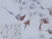 Anti Chicken CD34 Antibody, clone AV138 thumbnail image 2