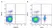 Anti Chicken CD4 Antibody, clone 2-35 thumbnail image 3