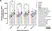Anti Chicken CD41/CD61 Antibody, clone 11C3 thumbnail image 10