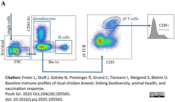 Anti Chicken CD41/CD61 Antibody, clone 11C3 gallery image 12