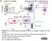 Anti Chicken CD41/CD61 Antibody, clone 11C3 thumbnail image 13