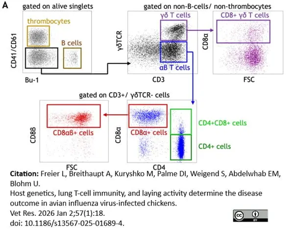 Anti Chicken CD41/CD61 Antibody, clone 11C3 gallery image 13