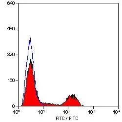 Anti Chicken CD41/CD61 Antibody, clone 11C3 gallery image 2