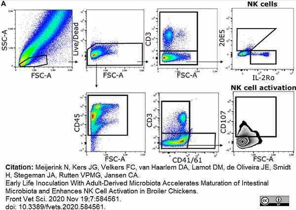 Anti Chicken CD41/CD61 Antibody, clone 11C3 gallery image 5