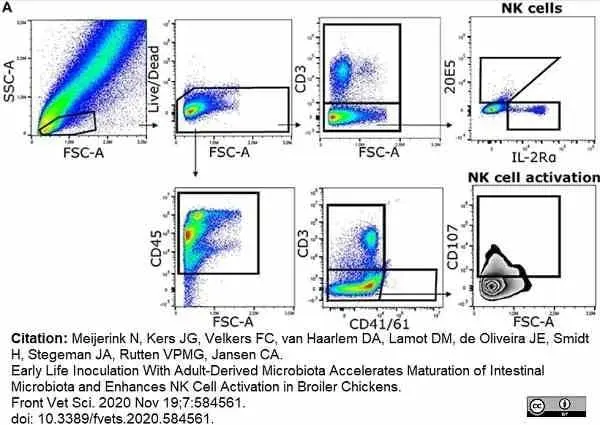 Anti Chicken CD41/CD61 Antibody, clone 11C3 gallery image 5