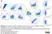 Anti Chicken CD41/CD61 Antibody, clone 11C3 thumbnail image 8