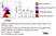 Anti Chicken CD44 Antibody, clone AV6 thumbnail image 1