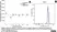 Anti Chicken CD45 Antibody, clone UM16-6 thumbnail image 2