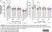 Anti Chicken CD45 Antibody, clone UM16-6 thumbnail image 6
