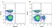 Anti Chicken CD8 Alpha Antibody, clone 11-39 thumbnail image 2