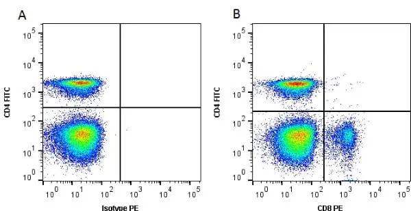 Anti Chicken CD8 Alpha Antibody, clone 11-39 gallery image 2