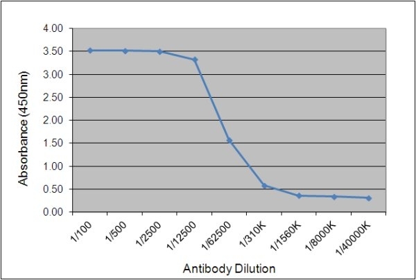 Anti Chicken IgY Antibody, clone 161. 3E6 gallery image 1