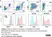 Anti Chicken IgY Antibody, clone 4D12 thumbnail image 2
