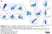 Anti Chicken Monocytes/Macrophages Antibody, clone KUL01 thumbnail image 5
