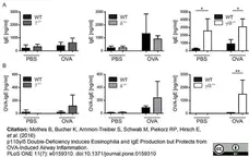 Anti Ovalbumin Antibody, clone 2C6 gallery image 2