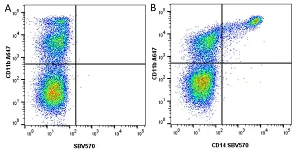Anti Bovine CD11b Antibody, clone CC126 gallery image 10