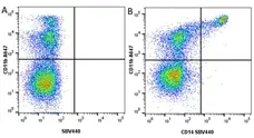 Anti Bovine CD11b Antibody, clone CC126 gallery image 11
