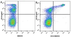 Anti Bovine CD11b Antibody, clone CC126 gallery image 12