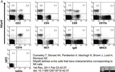 Anti Bovine CD11b Antibody, clone CC126 gallery image 5