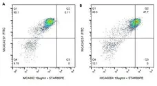 Anti Bovine CD11c Antibody, clone BAQ153A gallery image 1
