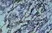 Anti Bovine CD13 Antibody, clone CC81 thumbnail image 1