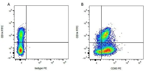 Anti Bovine CD14 Antibody, clone CC-G33 gallery image 3