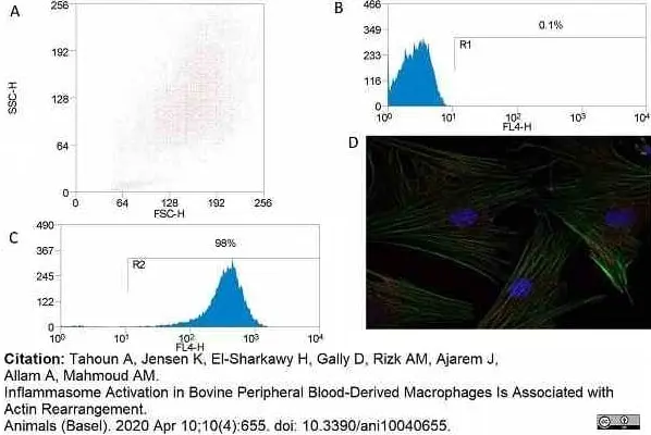 Anti Bovine CD172a Antibody, clone CC149 gallery image 12