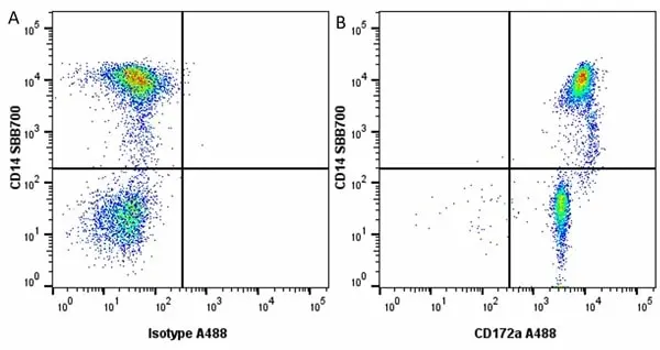 Anti Bovine CD172a Antibody, clone CC149 gallery image 18