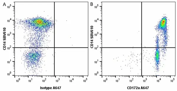 Anti Bovine CD172a Antibody, clone CC149 gallery image 19