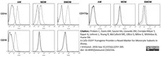 Anti Bovine CD172a Antibody, clone CC149 gallery image 2