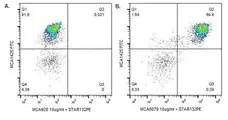 Anti Bovine CD172a Antibody, clone DH59B gallery image 1