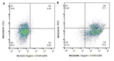 Anti Bovine CD18 Antibody, clone BAQ30A gallery image 1