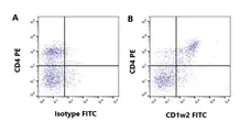 Anti Bovine CD1w2 Antibody, clone CC13 gallery image 1