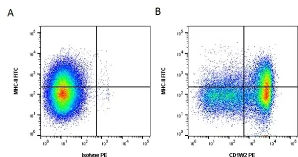 Anti Bovine CD1w2 Antibody, clone CC20 gallery image 2