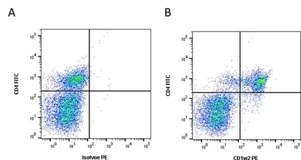 Anti Bovine CD1w2 Antibody, clone CC20 gallery image 3