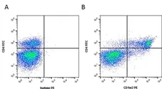 Anti Bovine CD1w2 Antibody, clone CC20 gallery image 4