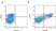 Anti Bovine CD1w2 Antibody, clone CC20 thumbnail image 4