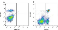 Anti Bovine CD2 Antibody, clone CC42 gallery image 1