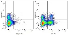 Anti Bovine CD2 Antibody, clone CC42 gallery image 2
