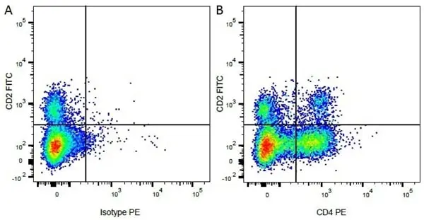 Anti Bovine CD2 Antibody, clone CC42 gallery image 2