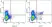 Anti Bovine CD2 Antibody, clone CC42 thumbnail image 4